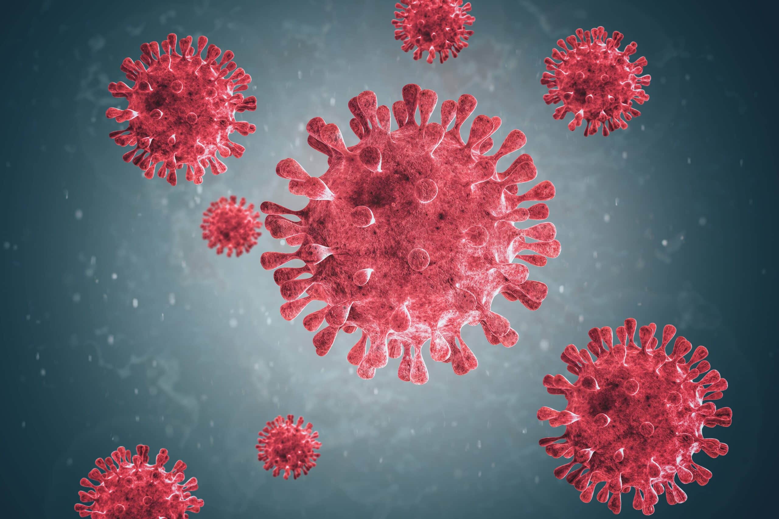 Statement from EUPHA on the Hantavirus outbreak and lessons for global health