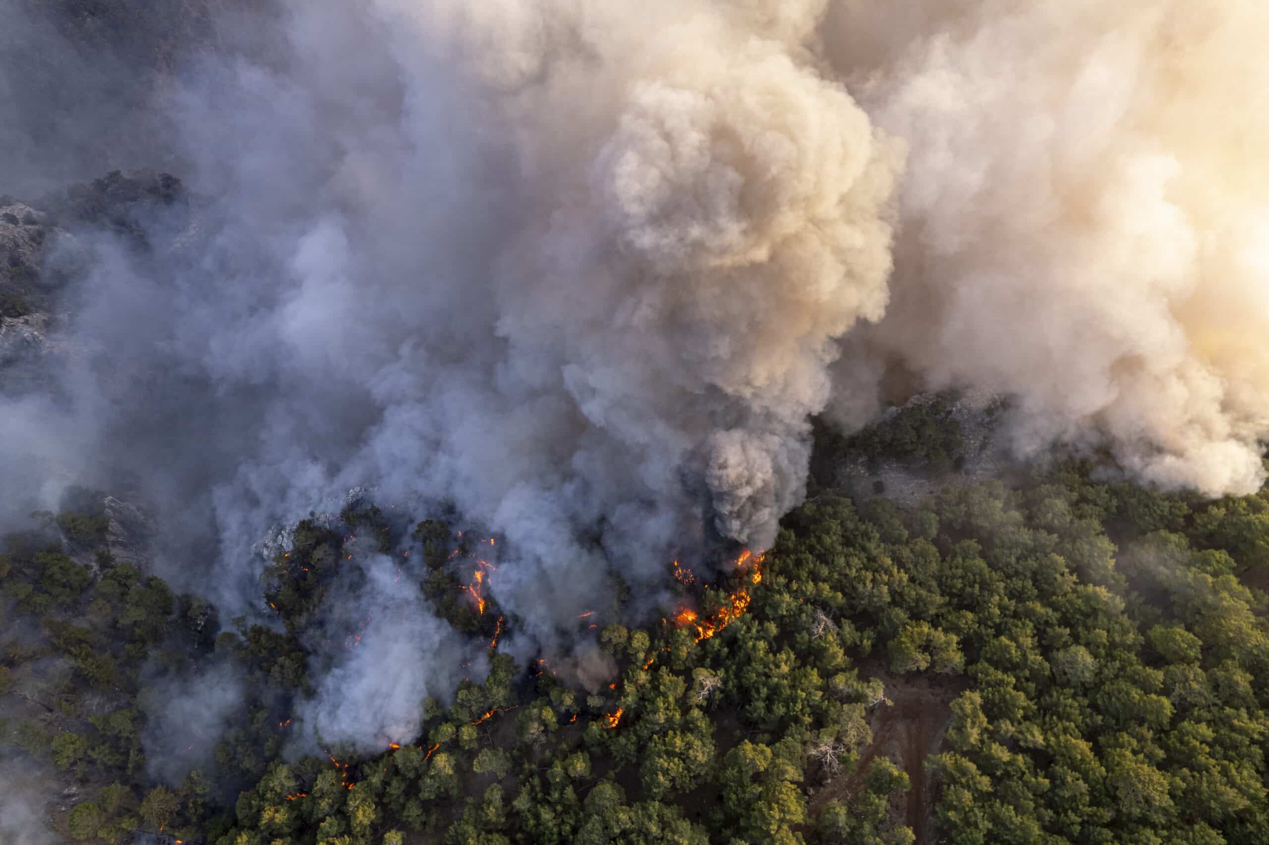 EUPHA statement on extreme weather events and wildfires in Europe in summer 2026